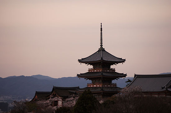 様々な一時帰国のすごし方